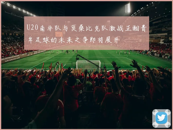 U20南非队与莫桑比克队激战正酣青年足球的未来之争即将展开