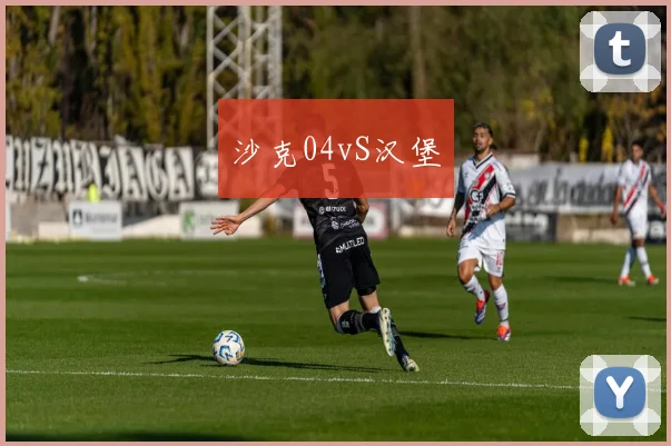 沙克04vS汉堡