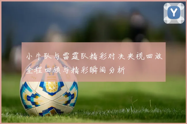 小牛队与雷霆队精彩对决央视回放全程回顾与精彩瞬间分析