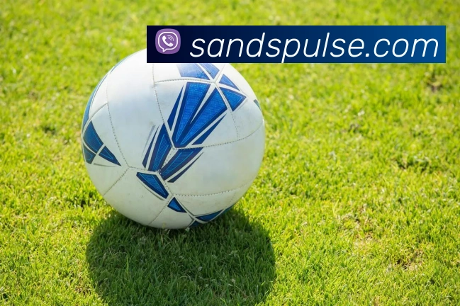 金沙娱乐城平台生态图