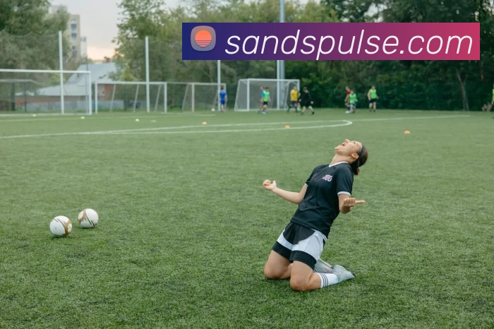 金沙娱乐城APP 封面图